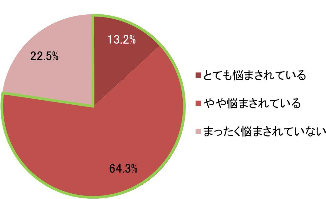 news-1392-6a58cb9432087.jpg