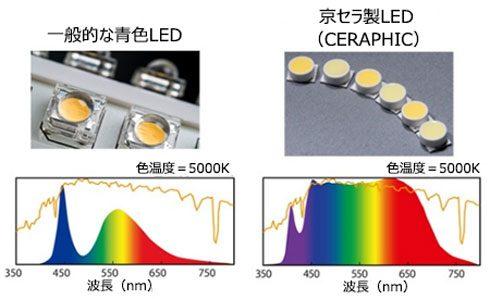 news-1759-6a58cc5c5c0a4.jpg